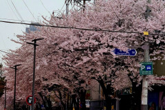 Screenshot_20240409_100809_Gallery