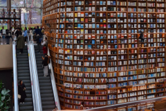 Screenshot_20240410_175632_Gallery