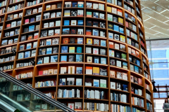 Screenshot_20240410_175641_Gallery