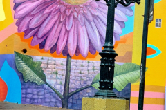 Screenshot_20241207_200136_Gallery