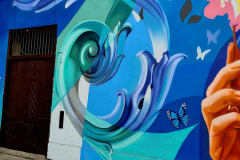 Screenshot_20241211_180932_Gallery