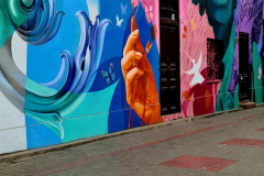 Screenshot_20241211_180943_Gallery