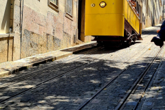 Screenshot_20240730_100550_Gallery