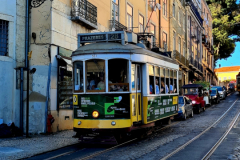 Screenshot_20240730_100801_Gallery