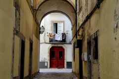 Screenshot_20240730_101018_Gallery