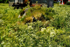 Screenshot_20240716_165219_Gallery