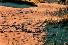 Screenshot_20240716_170357_Gallery