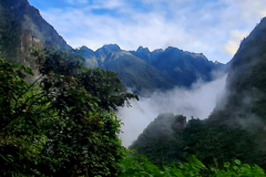 Screenshot_20241217_122440_Gallery