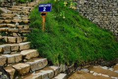 Screenshot_20241217_122651_Gallery