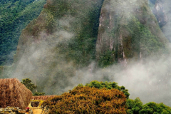 Screenshot_20241217_122759_Gallery