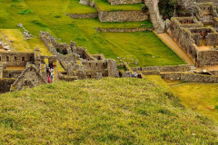 Screenshot_20241217_123427_Gallery