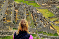 Screenshot_20241217_124015_Gallery