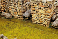 Screenshot_20241217_124500_Gallery