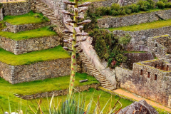 Screenshot_20241217_124603_Gallery