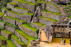 Screenshot_20241217_124643_Gallery