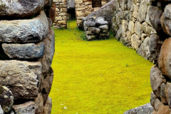 Screenshot_20241217_124706_Gallery