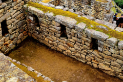 Screenshot_20241217_124750_Gallery