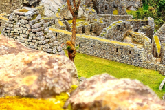 Screenshot_20241217_125000_Gallery