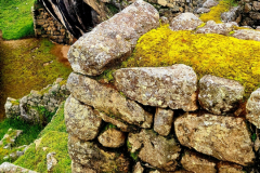 Screenshot_20241217_125142_Gallery