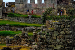 Screenshot_20241217_125218_Gallery