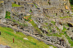 Screenshot_20241217_125324_Gallery