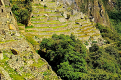 Screenshot_20241217_125433_Gallery