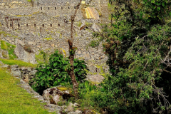 Screenshot_20241217_125519_Gallery