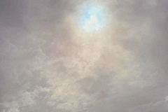 Screenshot_20241217_125819_Gallery