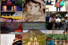 Screenshot_20241218_081952_Gallery