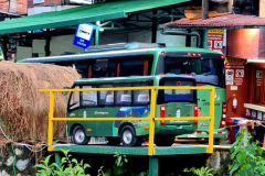 Screenshot_20241218_153908_Gallery