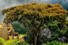 Screenshot_20241218_154127_Gallery