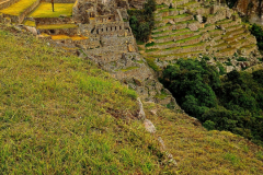 Screenshot_20241218_154304_Gallery