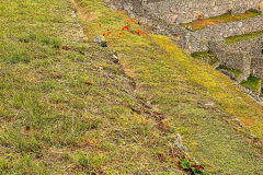 Screenshot_20241218_154507_Gallery