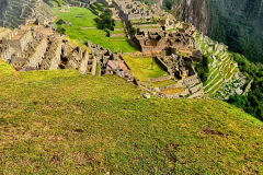 Screenshot_20241218_155115_Gallery