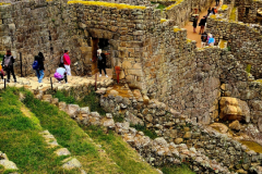 Screenshot_20241218_155818_Gallery