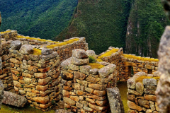 Screenshot_20241218_155954_Gallery