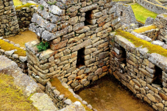 Screenshot_20241218_160057_Gallery