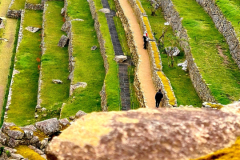 Screenshot_20241218_160142_Gallery