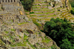 Screenshot_20241218_160507_Gallery