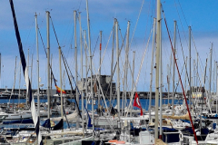 Screenshot_20240731_071840_Gallery