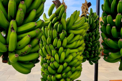 Screenshot_20240731_071849_Gallery