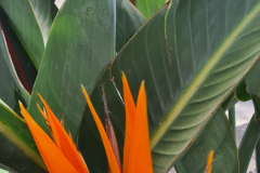 Screenshot_20240731_072048_Gallery