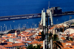 Screenshot_20240731_072202_Gallery