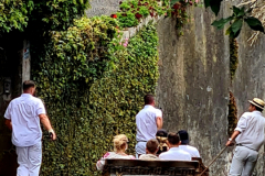 Screenshot_20240731_072356_Gallery