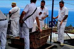 Screenshot_20240731_072421_Gallery