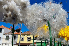 Screenshot_20240731_072755_Gallery