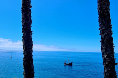 Screenshot_20240731_072929_Gallery