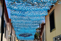 Screenshot_20240731_072936_Gallery