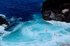 Screenshot_20240731_073040_Gallery