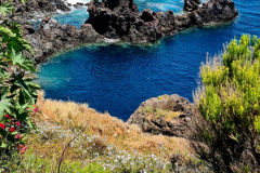 Screenshot_20240731_073129_Gallery